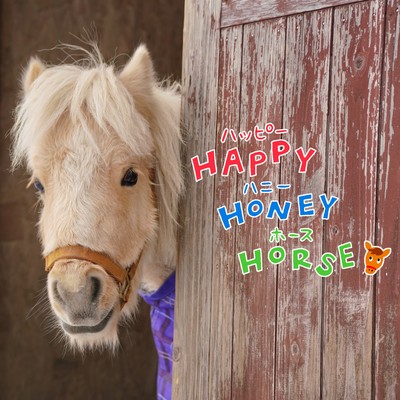 HAPPY HONEY HORSE