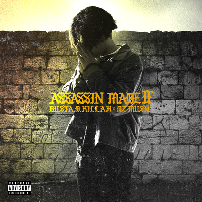 ASSASSIN MADE II
