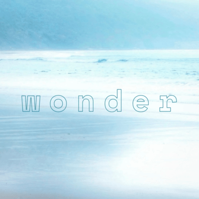 wonder (feat. Chis-A)