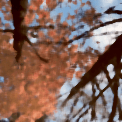 NOVEMBER