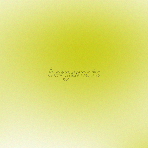 bergamots