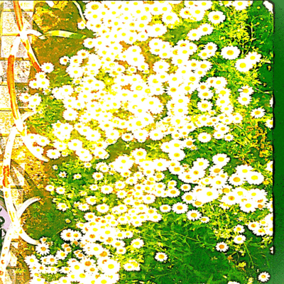 Fiest Love (twins Version)