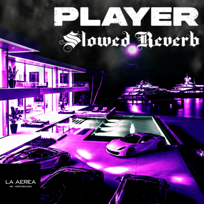 Player (slowed reverb)