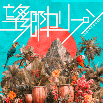 Nostalgia Calypso