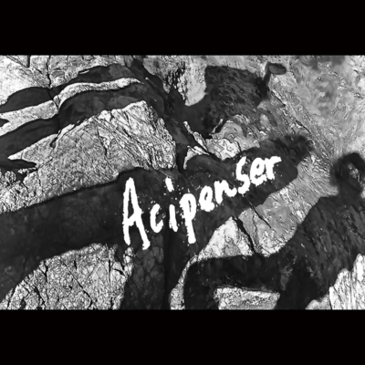 Acipenser (Live at K'sDream, Chiba, 2026)