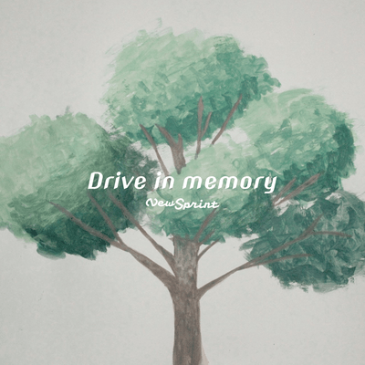 Drive in memory