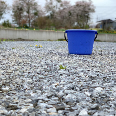 Bucket