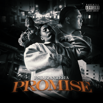 PROMISE