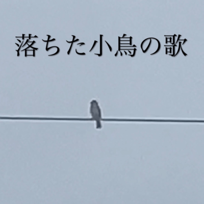 a song of fallen bird