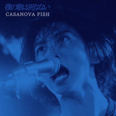 My Song Is Never Die