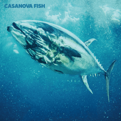 CASANOVA FISH
