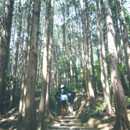 Super Climbing Club Experiment