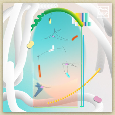 Follow the wind Experiment