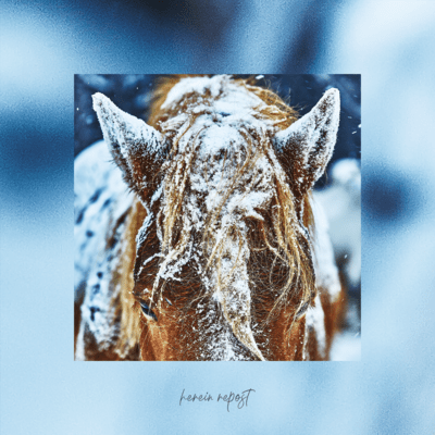 herein repost (Remix)