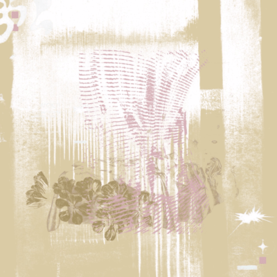 Where light blooms