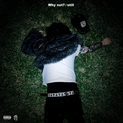 Why not? / still