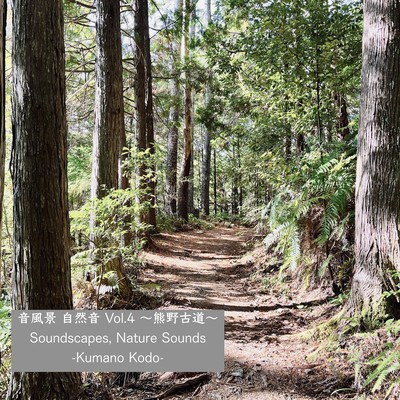 Soundscapes, Nature Sounds Vol.4 -Kumano Kodo-