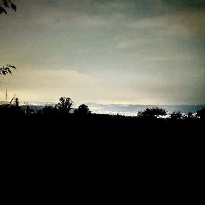 Natural Sound - Mizunami - Autumn Insects 05 (Normal Stereo)