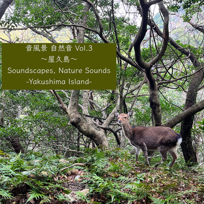 Soundscapes, Nature Sounds Vol.3 -Yakushima Island-