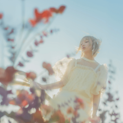 A petal of a flower