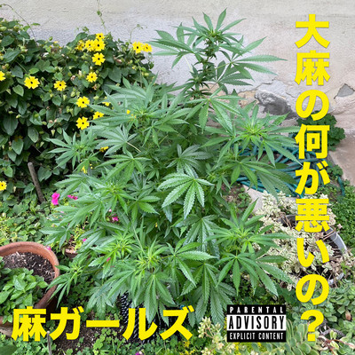 What wrong with weed