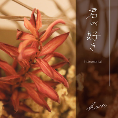I love you (Instrumental)