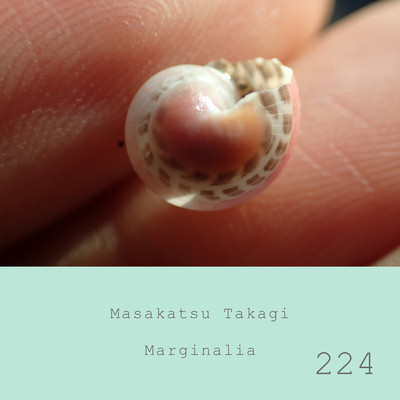 Marginalia #224