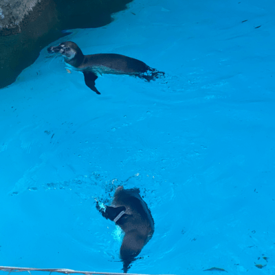 Blue moon (feat. TOUKA)