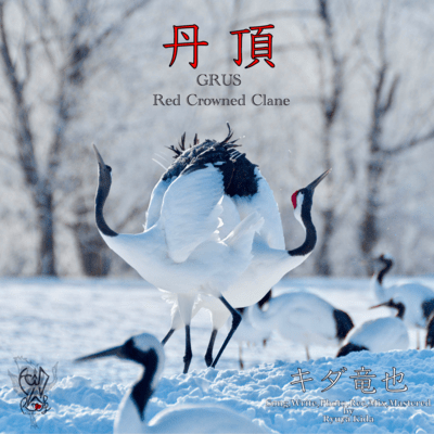 CLANE ~GRUS~ (2024 Remaster)