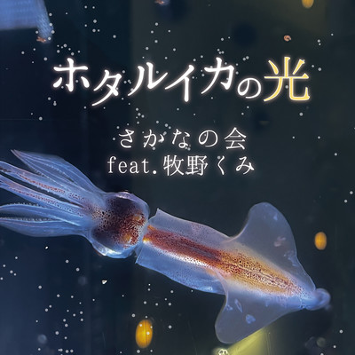 Hotaruika no hikari/Shinkai bosamba