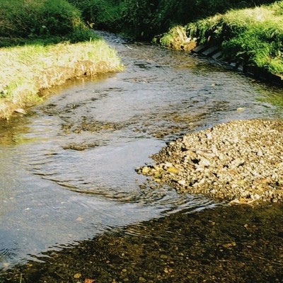 kawa