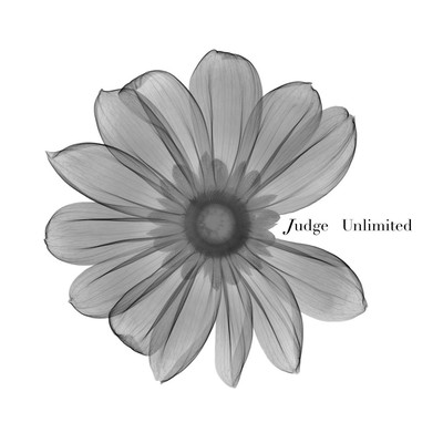 Judge
