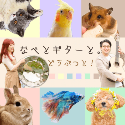 nabetoguitartodoubutsuto