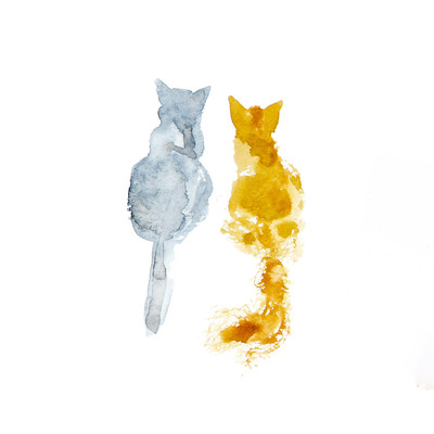 Two cats