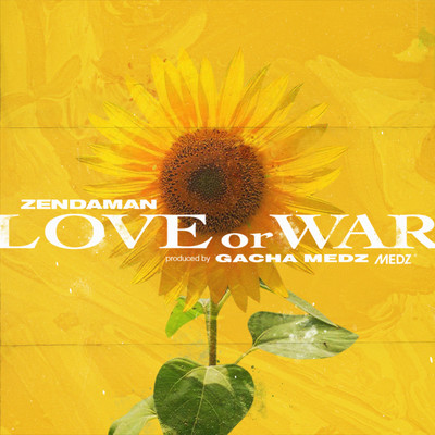 LOVE or WAR