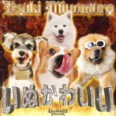 Inu-Kawaii