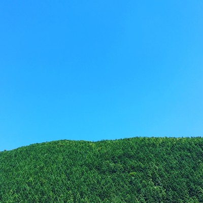 Under the Sun
