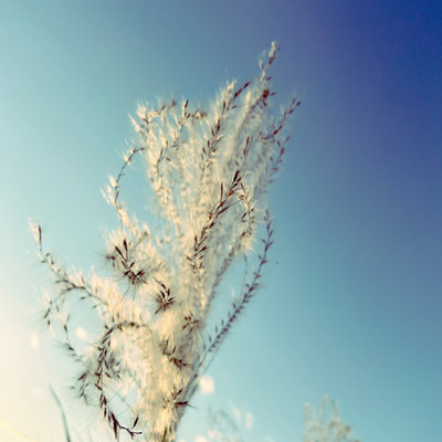 Fresh Air