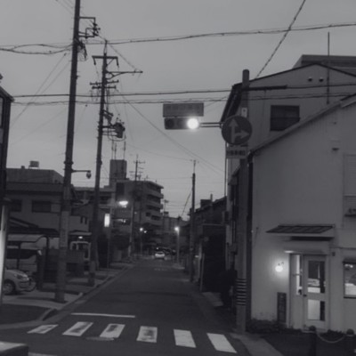 A bouquet of flowers even on boring days