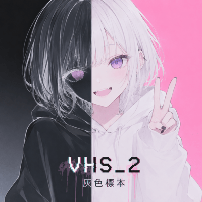 VHS_2