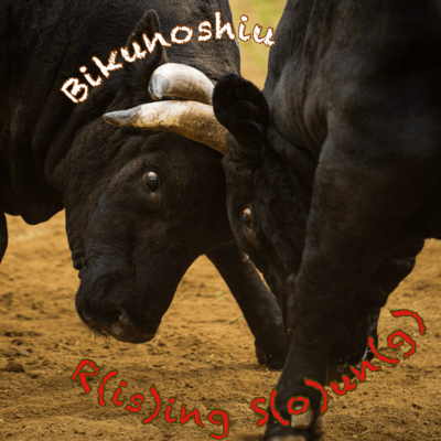 R (is) ing S (o) un (g)