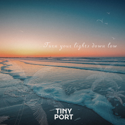 Turn Your Lights Down Low (Cover)