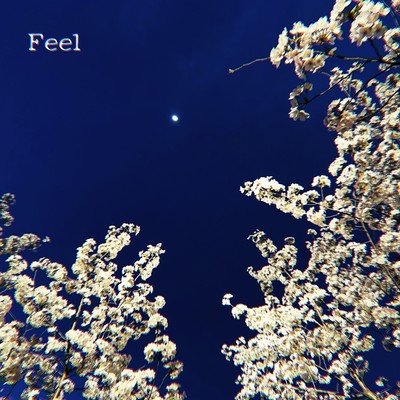 Feel