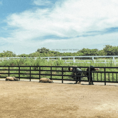 The Truth About The Ranch