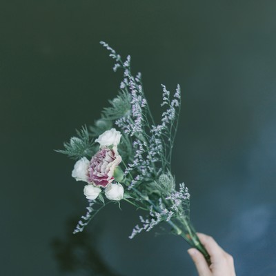 bloometto