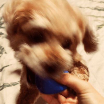 Ball Alive Silent Ever