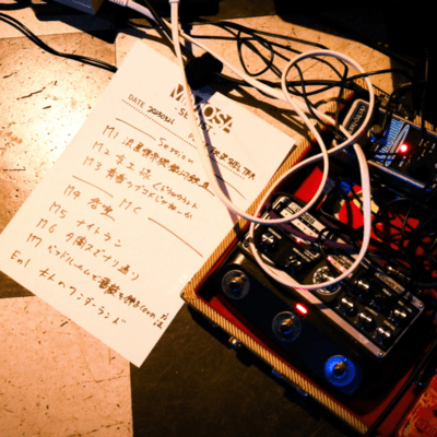 When the mimosas bloom