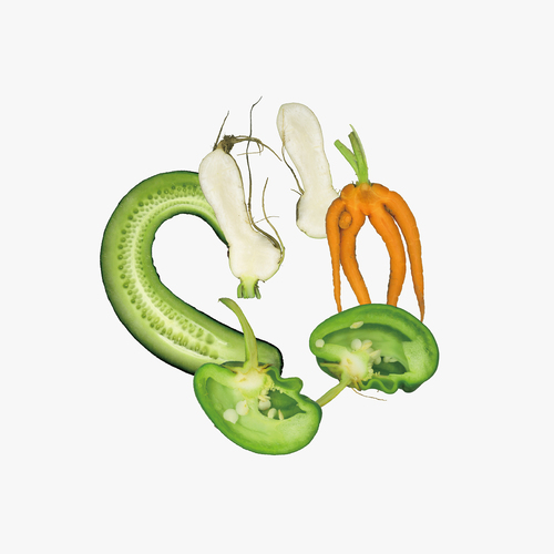 Non-standard Vegetable Orchestra