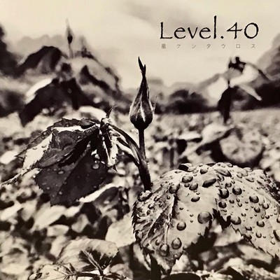 Level.40