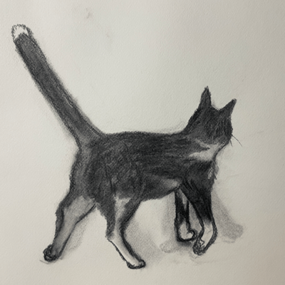 Nekochigura ~cat~